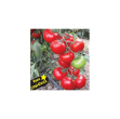 Bt Zeyno F1 Sırık Domates Tohumu resmi
