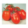 Rio Grande (Sanayi) Domates Tohumu resmi
