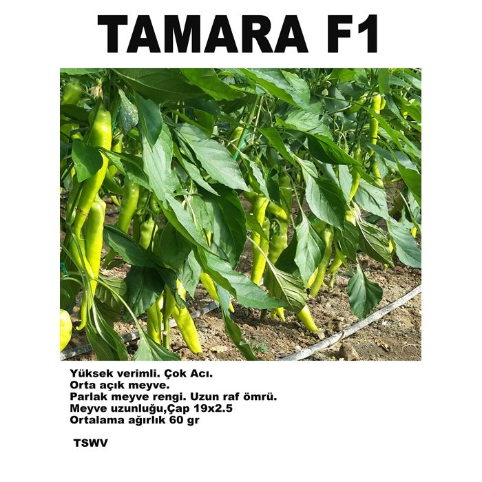 Tamara F1 Acı Çarliston Biber Tohumu resmi