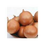 Pandero F1 (Sarı) Soğan Tohumu Hibrit Soğan Tohumu resmi