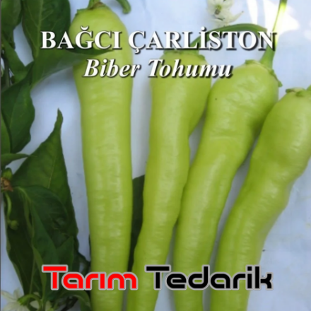 Bağcı Çarliston Biber Tohumu 500 Gr resmi