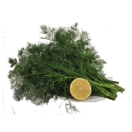 Asder Dereotu Tohumu (1 Kg) resmi
