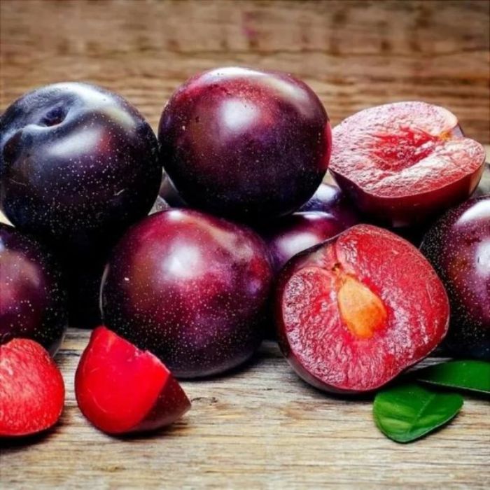 Black Splendor Erik resmi