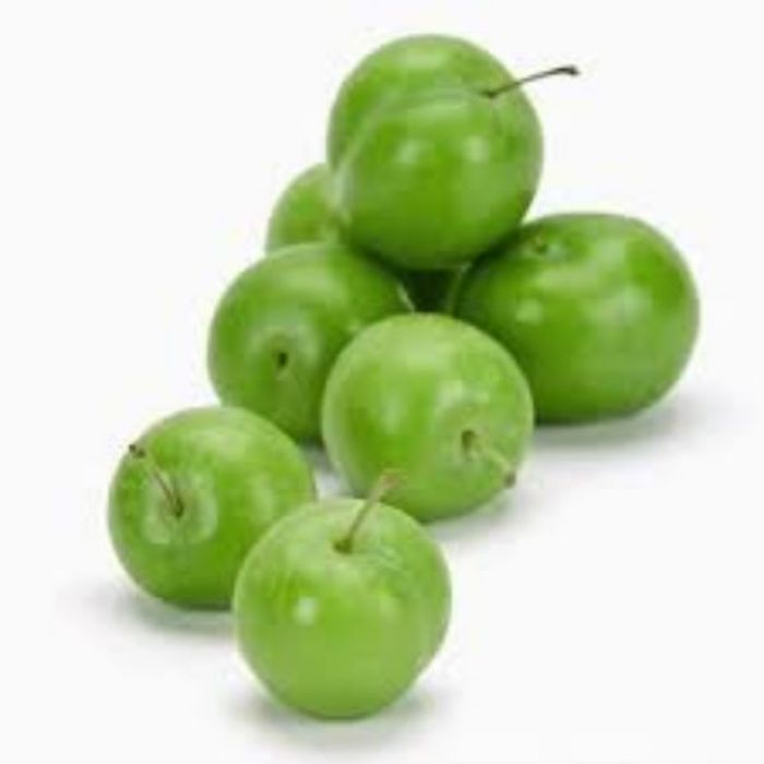 Can Erik Fidanı resmi