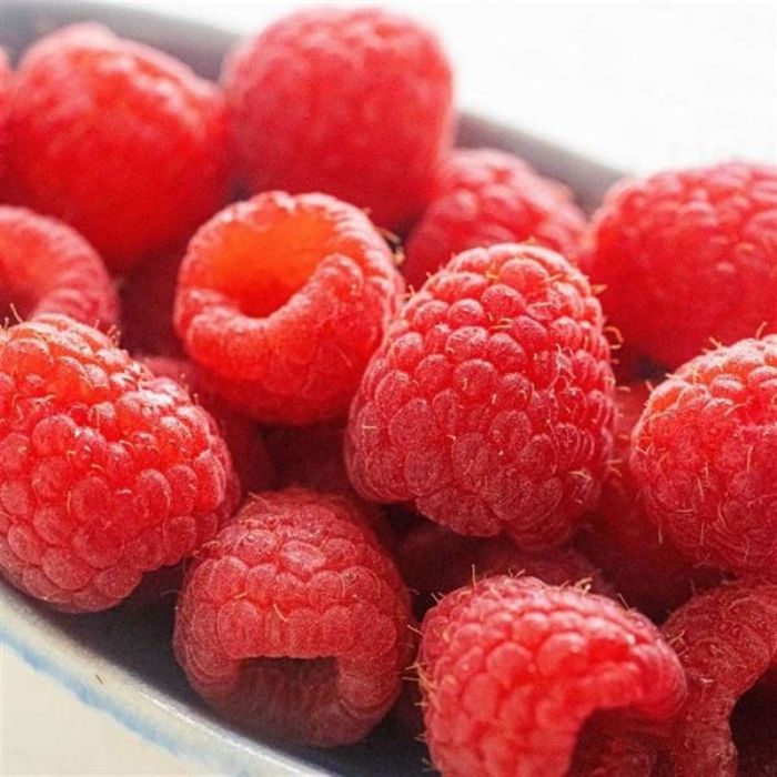 Ahududu Fidanı Fidanı resmi