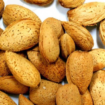 Nonpareil badem resmi