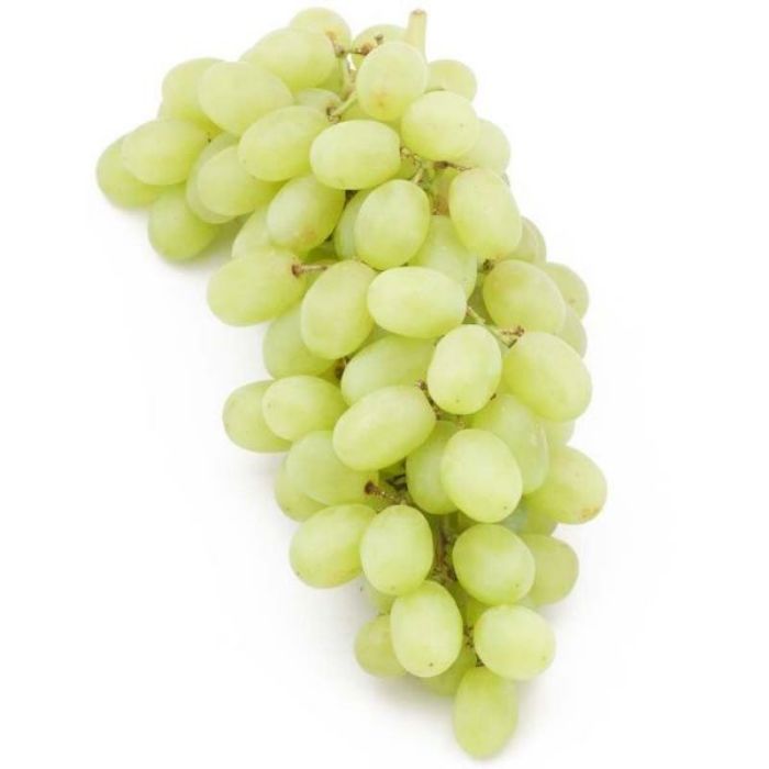 Thomson Seedless Uzum resmi
