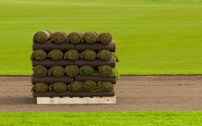 Hazır (Rulo) Çim Halı Çim resmi