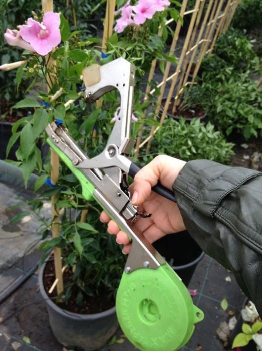 Bağlama Makinası Max HT-B (N) resmi