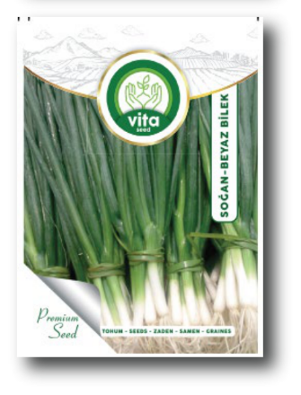 Beyaz Bilek (Taze Soğan) resmi