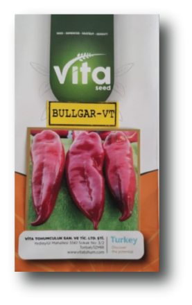 Bullgar VT Kapya resmi