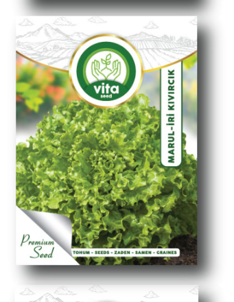 İri Kıvırcık 055 resmi