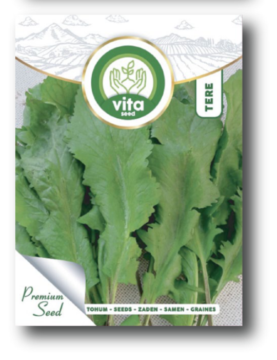 Tere Geniş Yaprak resmi