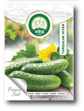 Turşuluk Kornişon resmi