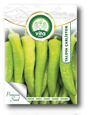 Yalova Charleston resmi