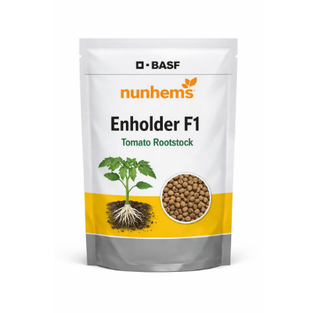 Enholder F1 Hibrit Domates Tohumu resmi