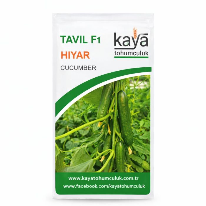 Tavil F1 Hıyar Tohumu (500 Adet'Lik Paketlerde) resmi